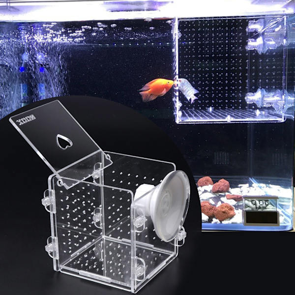 Fiskavelbox Genomskinlig Akryl Isolering Boxar Akvarium Kläckeri Inkubator