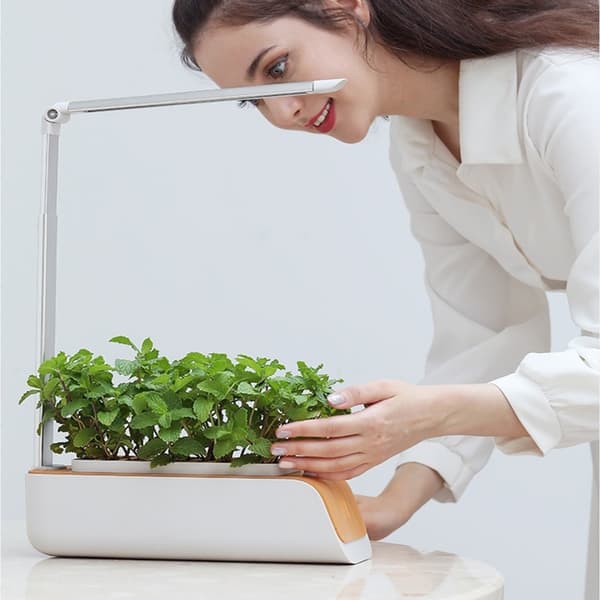 Automatisk 16H lyscyklus hydroponiske vækstsystemer justerbar lampe til blomster