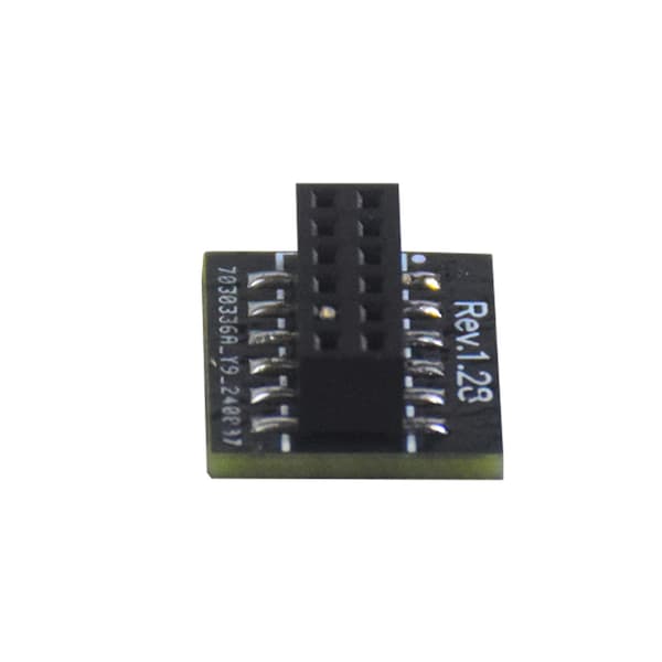 Krypteringssäkerhet TPM 2.0 Modul 12Pin SPI-gränssnitt för moderkort