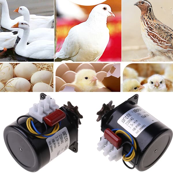 Egg Inkubator Motor Synkronmotor for Kyllinger Ender Gås Egg Klekking