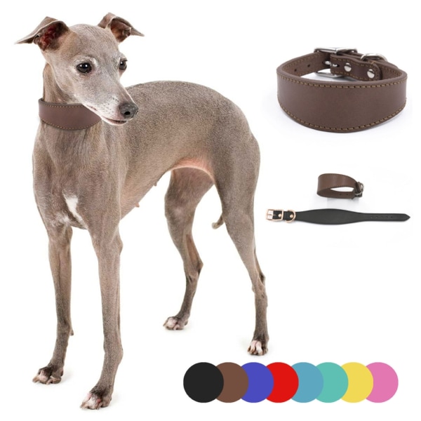 Läderhundhalsband Mjukt vadderat halsband för whippets Salukis Sighthounds Hundar Justerbart halsband Stora raser Hundartillförsel Sky Blue M