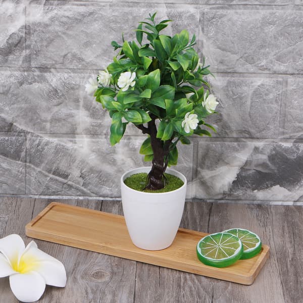 Rektangulær Bambus Tre Fat Plantebrett Mini Plante Blomsterpotte Stativ