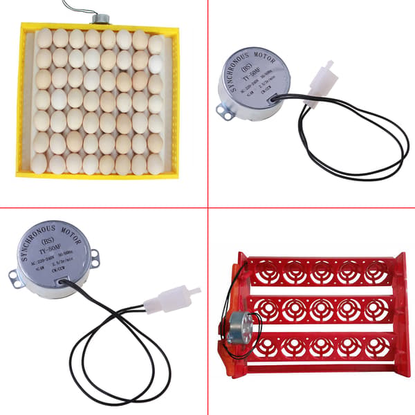 220V/AC Strømmotor for Automatisk Eggeinkubator Eggevender Tilbehør