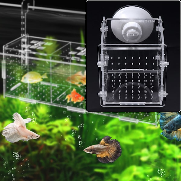 Fiskavelbox Genomskinlig Akryl Isolering Boxar Akvarium Kläckeri Inkubator