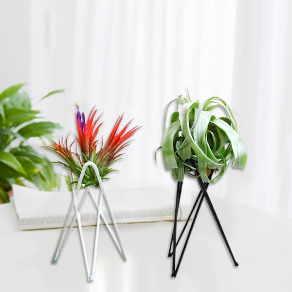 Luftväxthållare Metall Blomkrukställ Geometriskt järn Tillandsia Display Art White