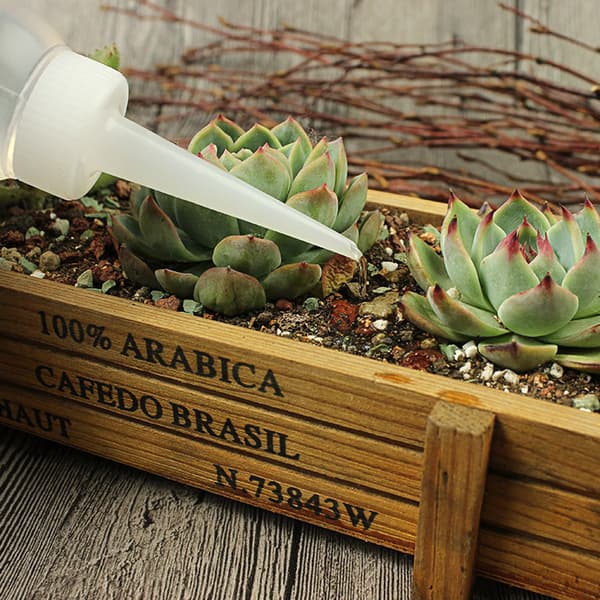 Plantera Succulent Squeeze Vattenflaska Plast Vertikal Munstycke Sprayburk 100ML