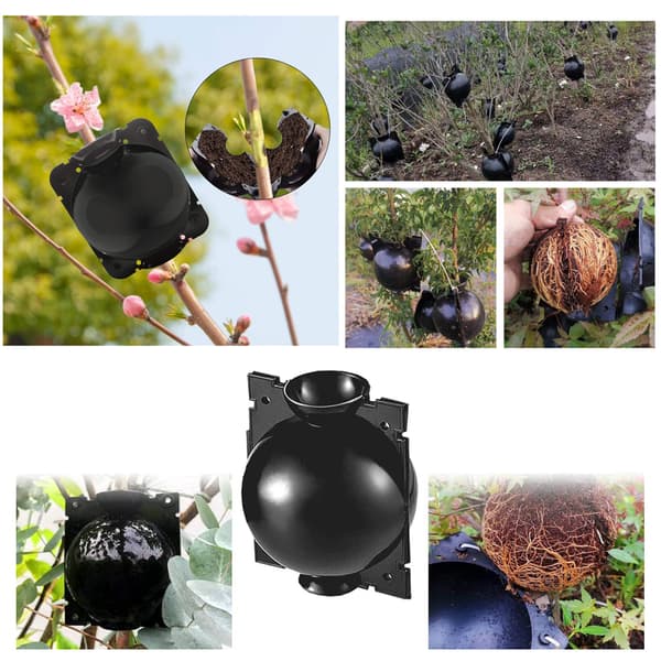 10 st högtrycksförökningsbollar Graftuppfödning för case Black 2