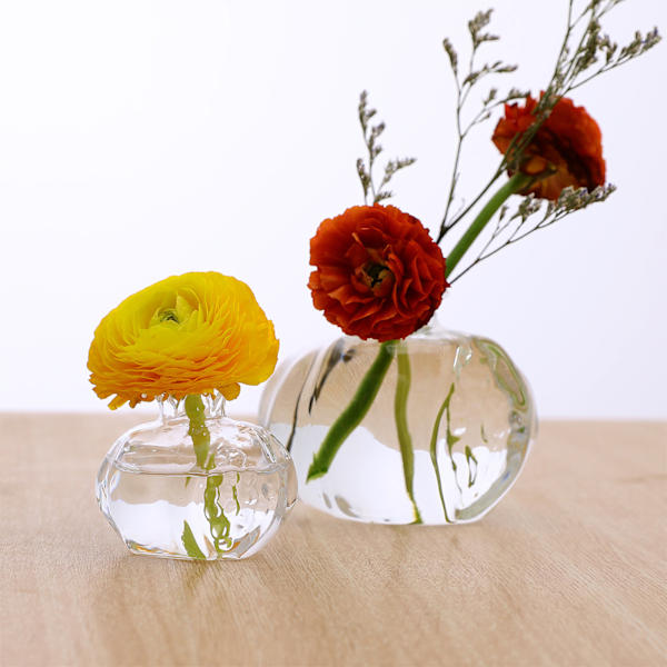 Granatäppleform Klart glas Vas Flaska Blomflaska Växter Flaska Glas Material för hemväxter Blomdekorationer S