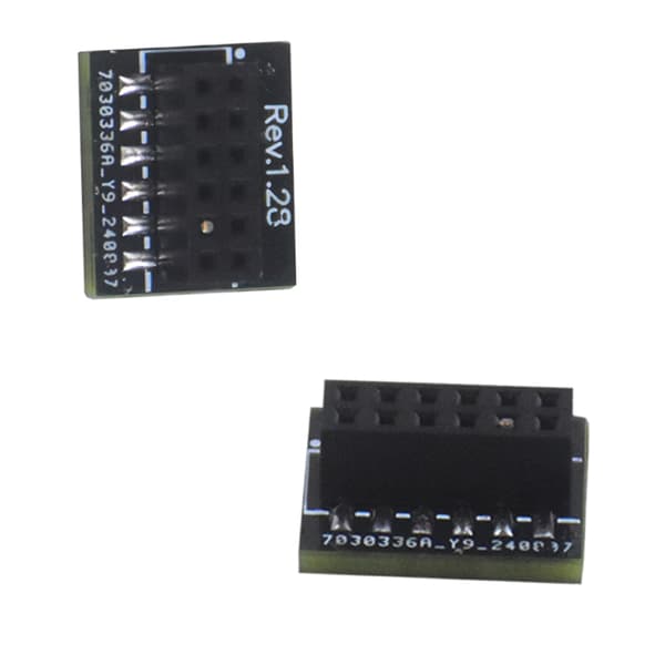 Krypteringssäkerhet TPM 2.0 Modul 12Pin SPI-gränssnitt för moderkort
