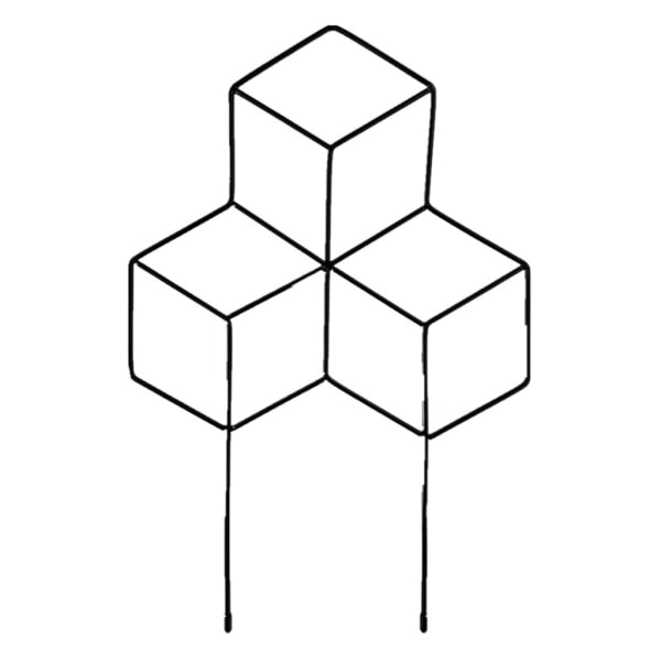 Tredimensionell 3 kubform Trädgårdsväxtstödram Krans Klätterväxter Spaljé Järn Buskhållare