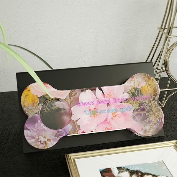 Epoxy Resin Støbeform Håndlavede DIY Håndværk til Fremstilling af Kæledyrsminde Gave