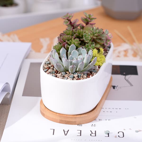 Suckulenta plantera Keramisk blomkruka med bambu fack dräneringshål dekoration