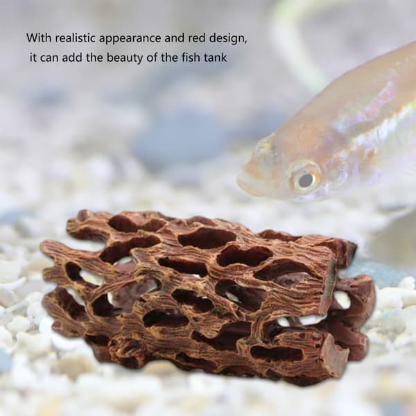 Delikat avl Hellig hule terrarium gemmesteder grenform akvarier