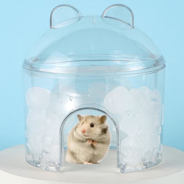Innovativt Hamster Ishus Sovhus För Effektiv Temperaturkontroll