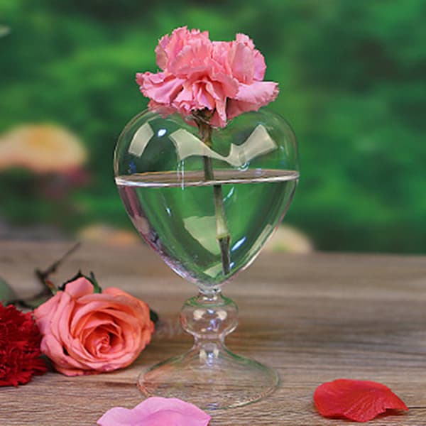 Hjärtform glasblomkruka Desktop Stående Vas Planter Container Heminredning