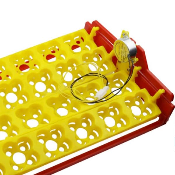 Egginkubator Snu-motor AC220V Gård Kylling Voksende Synkron Oppgradert