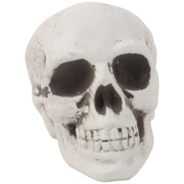 Plast Human Mini Skull Dekor Prop Skelett för Head Halloween Coffee Bars Orna