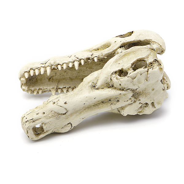 Akvariumdekoration Harts Alligator Skalle Fisk till tankprydnad Betta Tillbehör Aquatic Caves Fiskgömställ Lätt att klämma