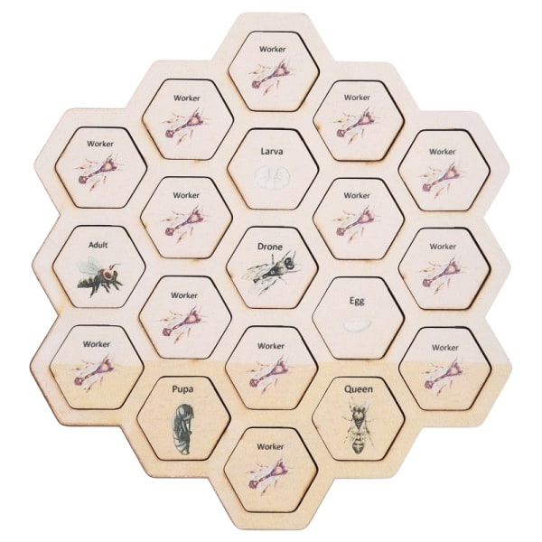 2-i-1 Montessori Toy Bee for Evolution Growth Jigsaw 3D-pussel matchande leksak Early Learning Upptagen bräda för toddler