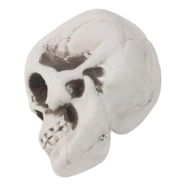 Plast Human Mini Skull Dekor Prop Skelett för Head Halloween Coffee Bars Orna