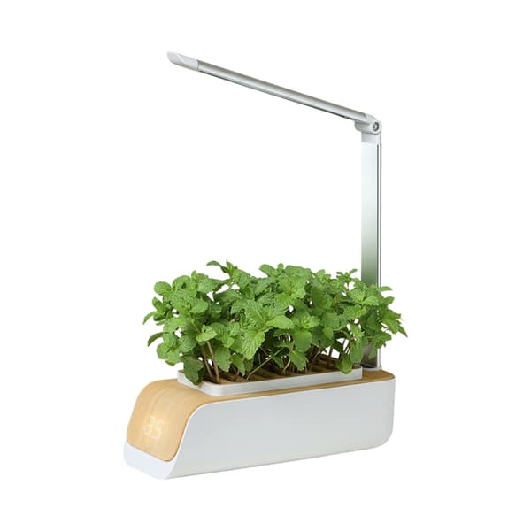 Automatisk 16H lyscyklus hydroponiske vækstsystemer justerbar lampe til blomster