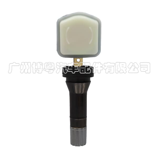 4 st 802000121AA lämplig för Chery Däcktryckssensor Chery Tiggo 35X78 Arrizo bildelar~0156