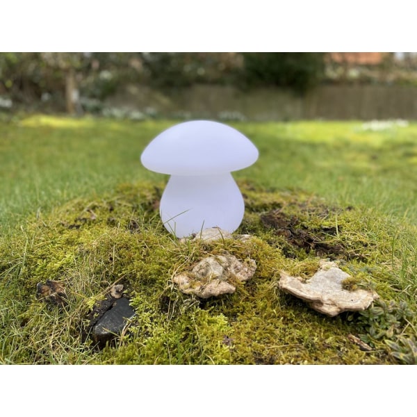Lea LED sieni 23 cm valkoinen White