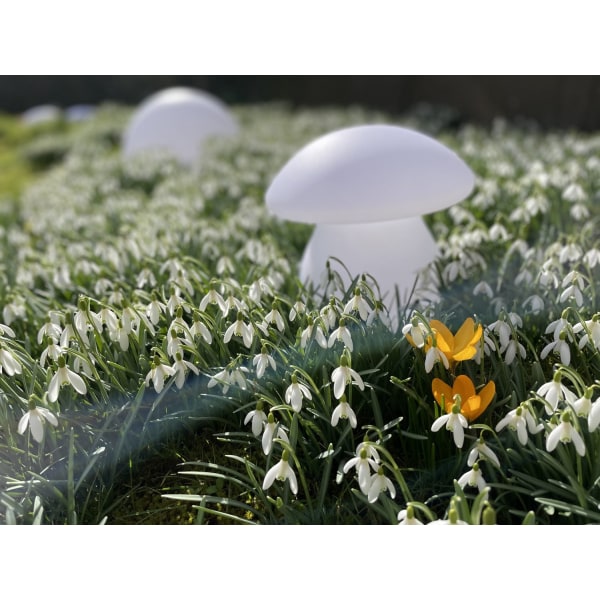 Lea LED champignon 23 cm hvid White
