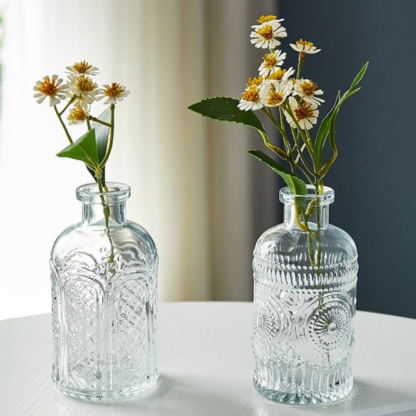 Glasvas Hydroponic Plant Vase D D D