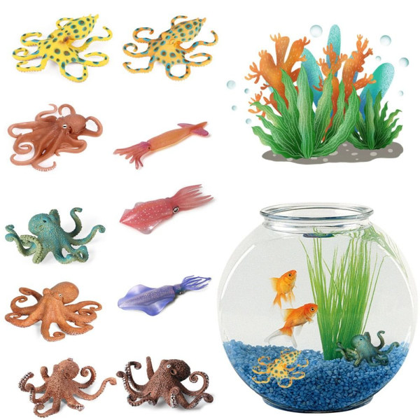 Marine Molluscs Model Simulation Squid Octopus 06 06 06