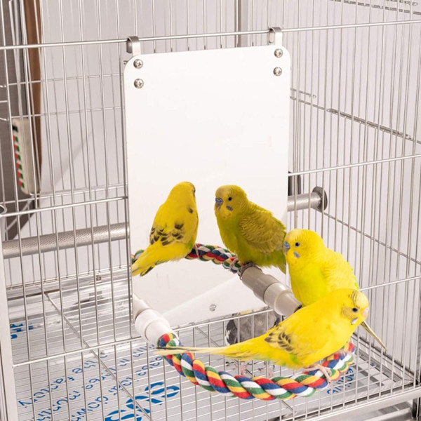 7 tums fågelspegel med rep Abborre Swing Parrot Cage Leksaker