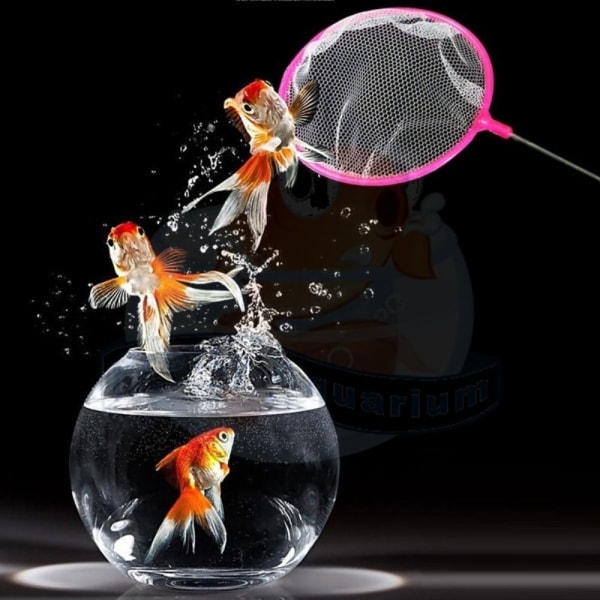 Tiny Fish Tank Net Aquarium Reke Nett 35CM 35cm