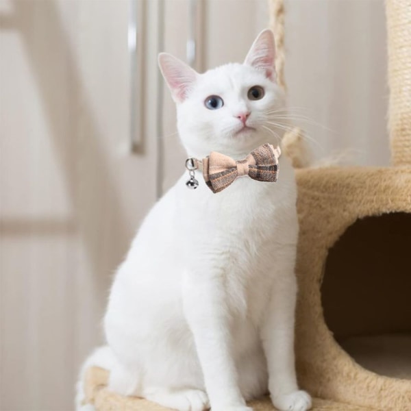 Britisk kattehalsbånd Gentlemanly Sløyfe Klassisk rutete sjekk Kat