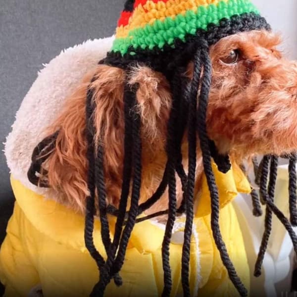 Strikket lue dreadlocks pirat