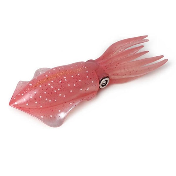 Marine Molluscs Model Simulation Squid Octopus 04 04 04