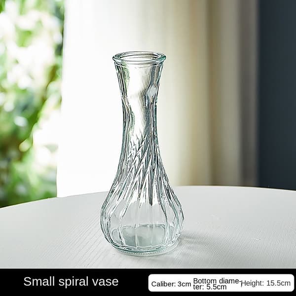 Glasvas Hydroponisk Växtvas C C C