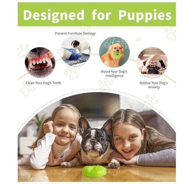 Puppy Chew Toys Stimulerande Pussel Toy Green