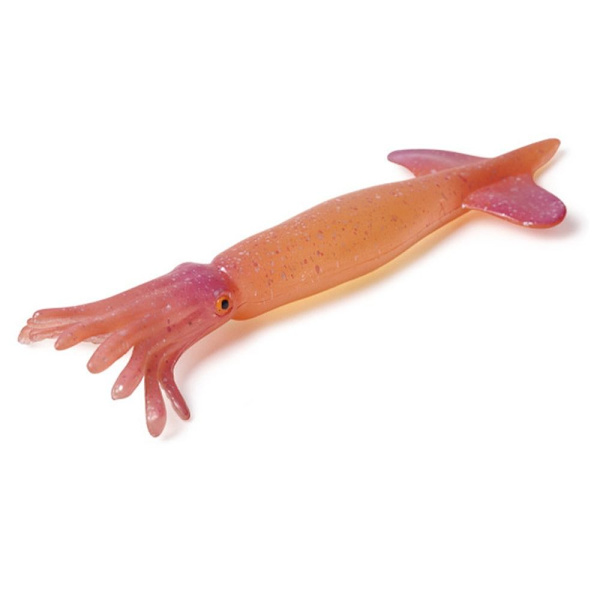 Marine Molluscs Model Simulation Squid Octopus 10 10 10