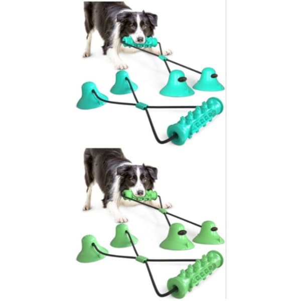 Hundeleker Tyggleker for hund BLÅ Blue