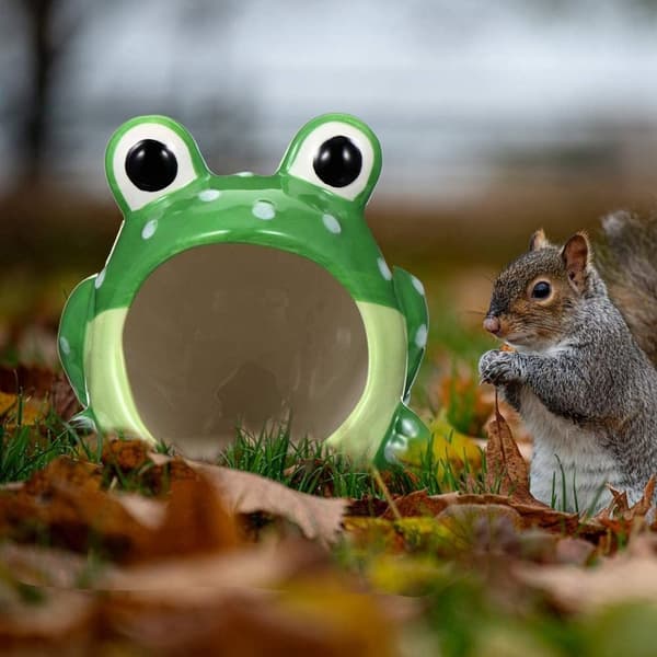 Hamster Kylbo Husdjurs Sovrum GRODA GRODA Frog