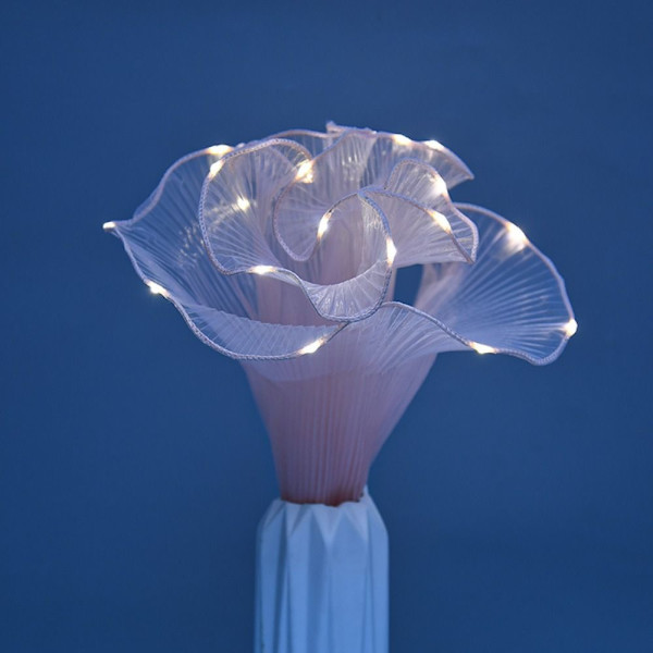 2M LED-förpackning Blomsterpaket 3 3 3