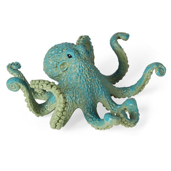 Marine Molluscs Model Simulation Squid Octopus 09 09 09