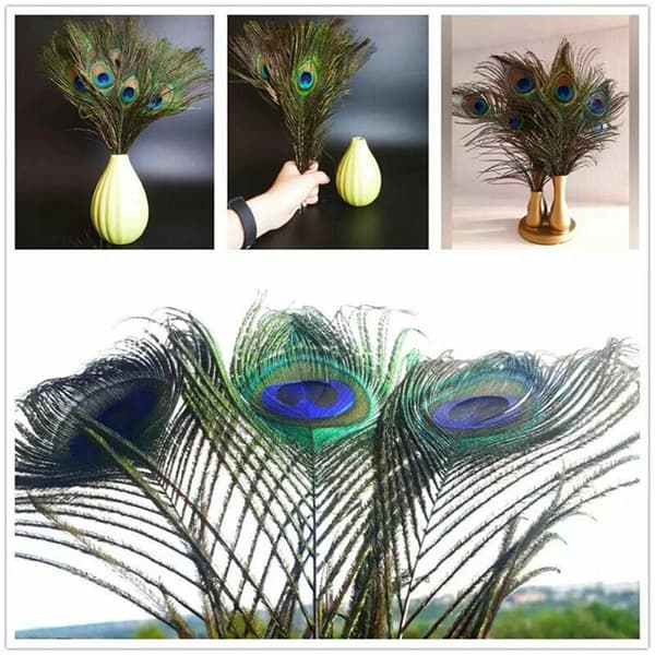 30 kpl Peacock Feather Natural Feather Tail