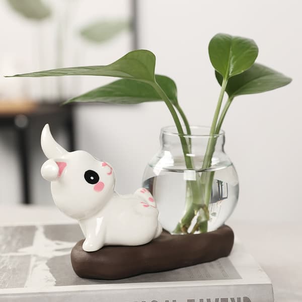 Hydroponiske Plantevaser Transparent Glassvase B B B