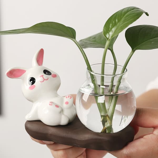 Hydroponiske Plantevaser Transparent Glassvase C C C