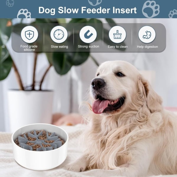 Dog Slow Feeder Insats Slow Feeder Dog Bowl Silikon