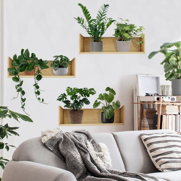 Väggdekaler 3D Gröna Krukväxter, Grönska och Blad