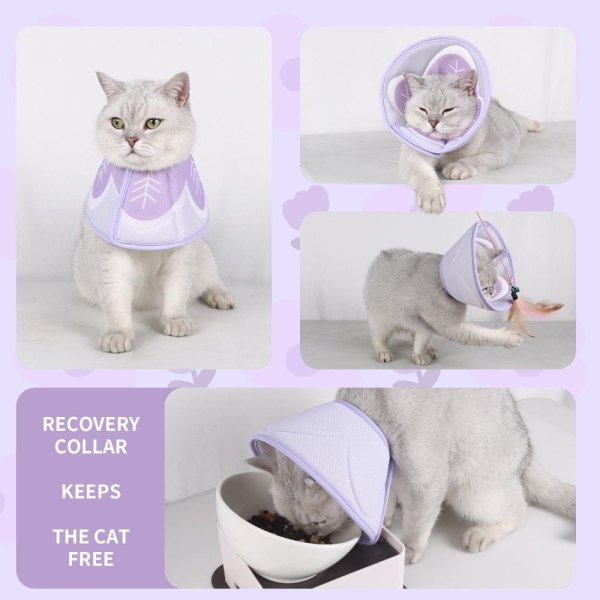 Cat Cone Cat Collar Recovery Collar