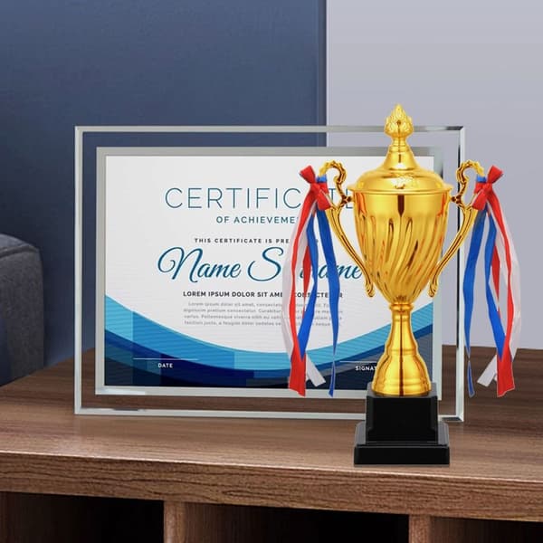 Trophy Awards Cupaward 32.5CM 32.5cm