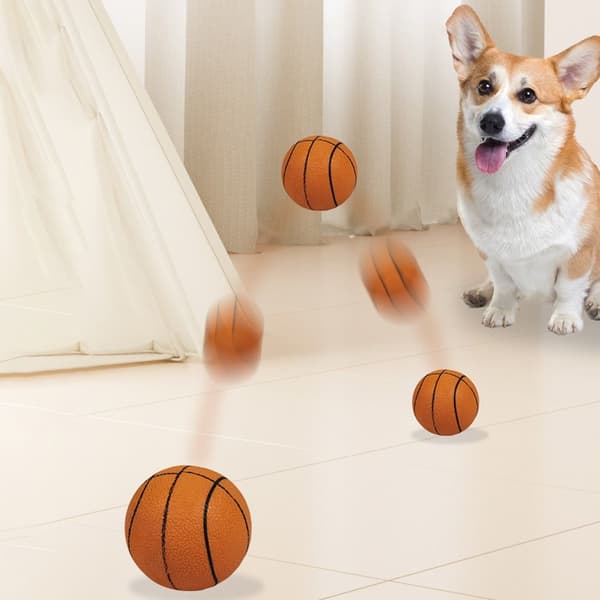 Hundleksaksbollar, Elastisk Hundboll, BASKETBOLL BASKETBOLL Basketball